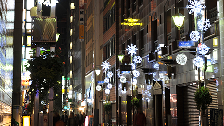 Sony-dori Neighboring Association (streetlight illumination)