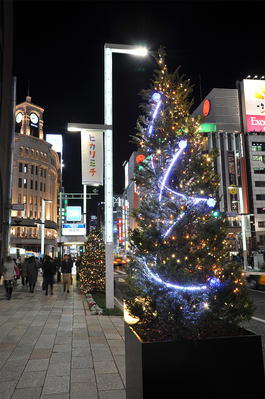 GINZA ILLUMINATION  ヒカリミチ2015 ～樹が照らす未来～