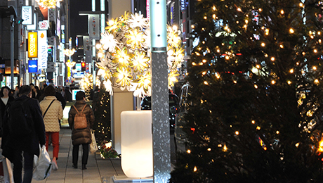 GINZA ILLUMINATION  ヒカリミチ2016～光の庭園～