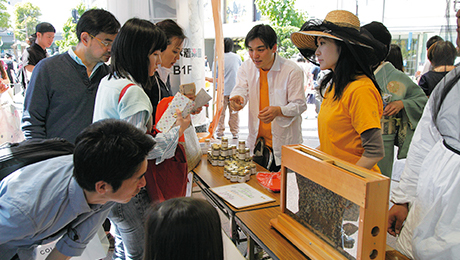 Ginza Honeybee Festival