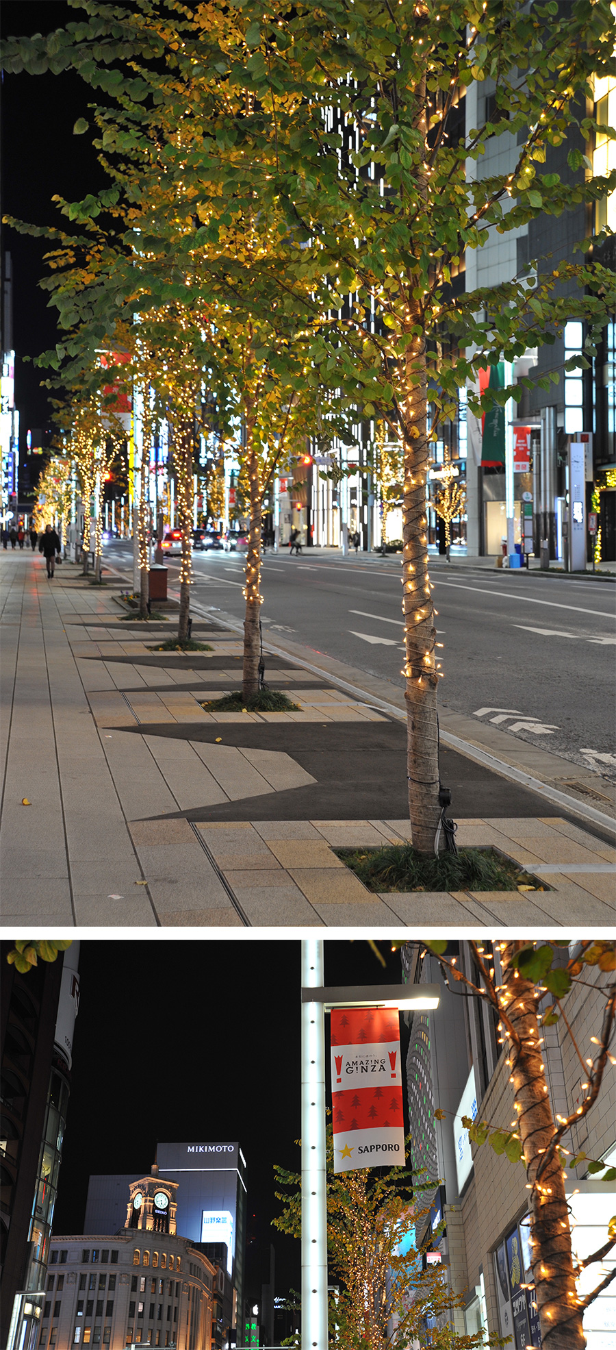 銀座通りのカツラ並木