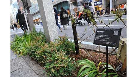 銀座通り街路花壇プロジェクト