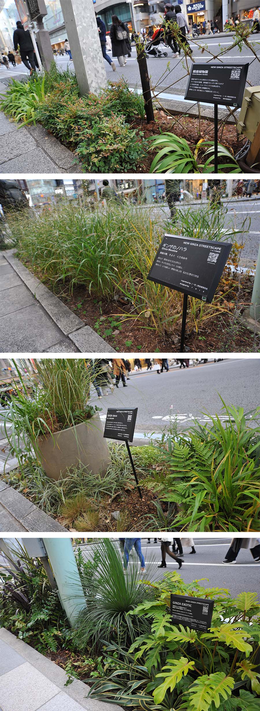 銀座通り街路花壇プロジェクト