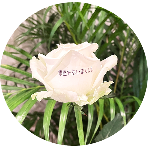 MESSAGE FLOWER