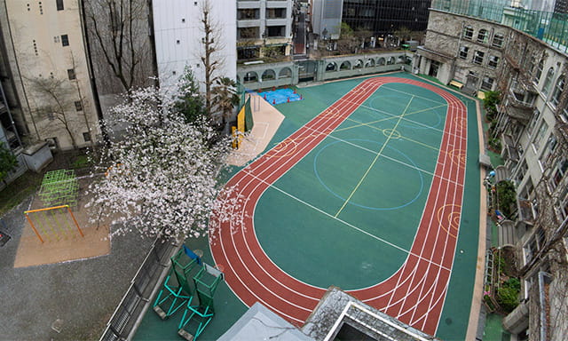 屋上から見た校庭。桜の木の左に見える公園は、校庭の一部として使われている。