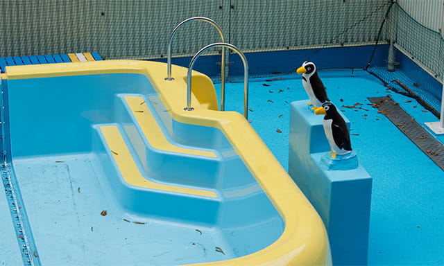 小学校のプールの隣には幼稚園のプールがあり、名物のペンギン像が。